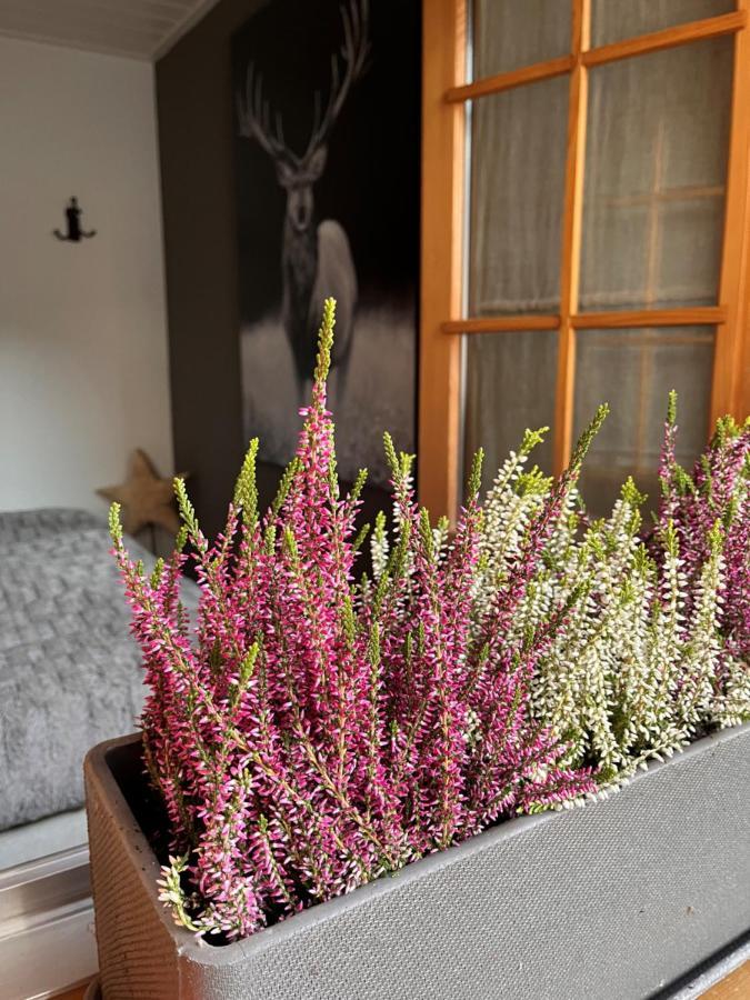 Chalet Apartment Serenity Lodge تشاميري المظهر الخارجي الصورة